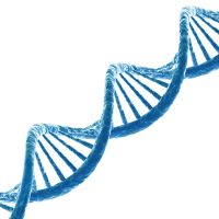 Dna,Molecule.,Isolated,On,White,Background.,3d,Render Dna,Molecule.,Isolated,On,White,Background.,3d,Render